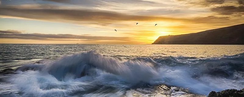 所见所领皆是生活是什么意思