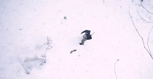 嗜血法医第一季boss是谁