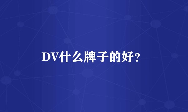 DV什么牌子的好？
