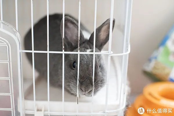 闻香识女人:翻一翻自家女王的小众香水