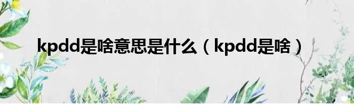 kpdd是啥意思是什么（kpdd是啥）