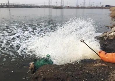 小鱼塘兽药乱投放 我们不吃自己养的鱼