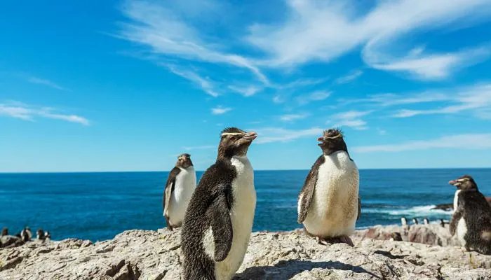 2022年5月节日大全一览表 5月有什么节日和纪念日