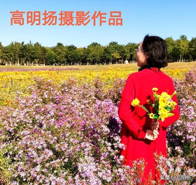 上海奉贤区东端这个镇