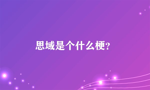 思域是个什么梗？