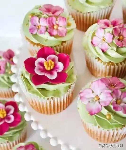 张伟丽与乔安娜之战,乔安娜讽刺张伟丽戴口罩来打ufc你怎么看?