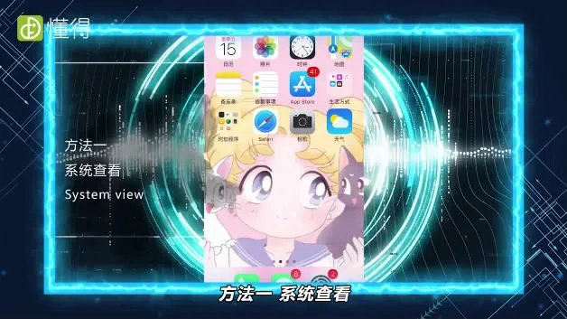 苹果手机怎么看流量使用情况