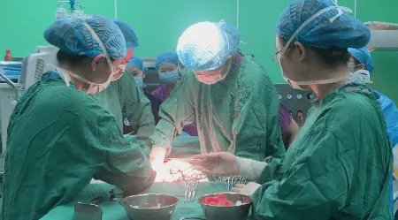 石家庄6个多月龙凤胎早产，这对龙凤胎的现状如何？