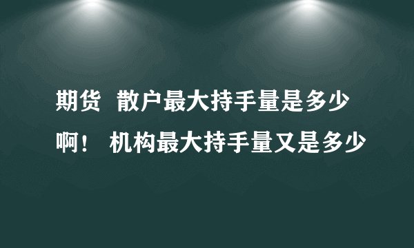 期货  散户最大持手量是多少啊！ 机构最大持手量又是多少