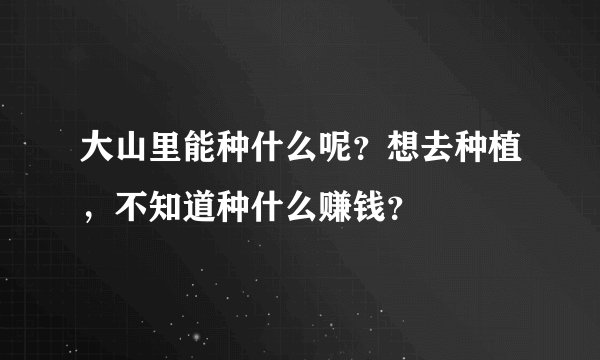 大山里能种什么呢？想去种植，不知道种什么赚钱？