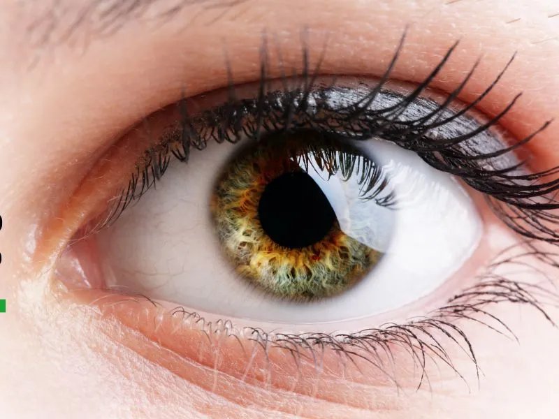 虹膜定位的简介及用途