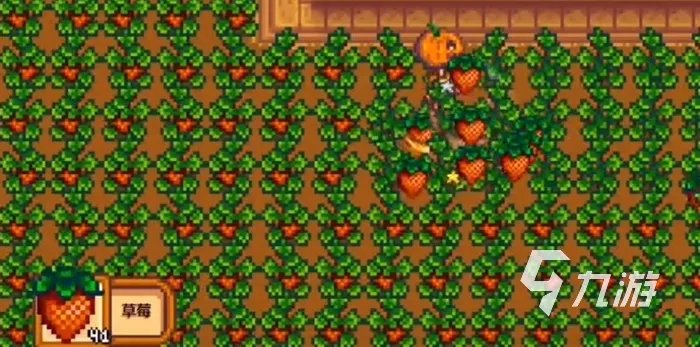 星露谷物语13天种的草莓几号收 草莓种植技巧一览