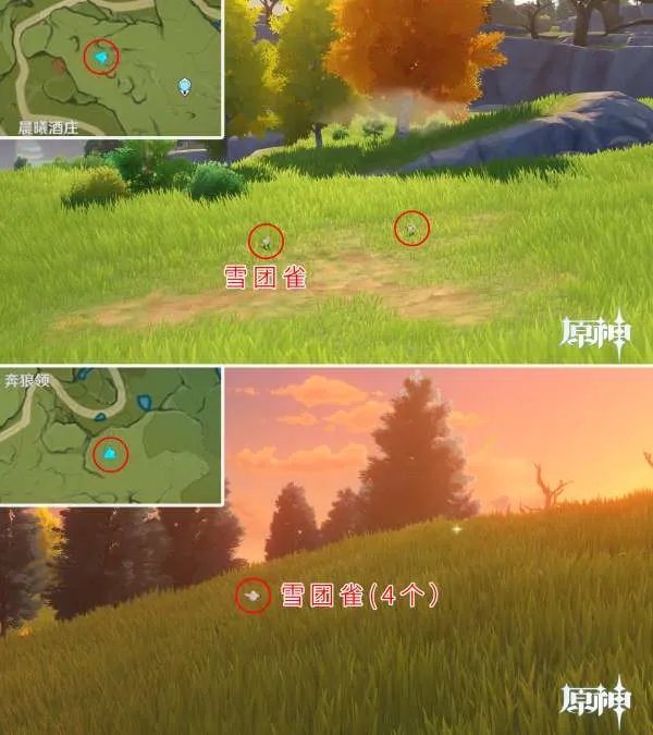 原神四方八方之网可捕捉动物在哪