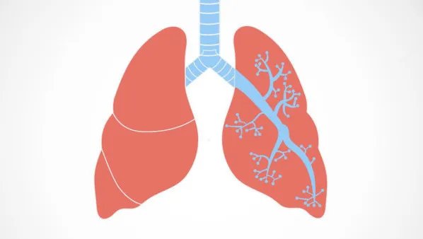 肺癌骨转移的治疗