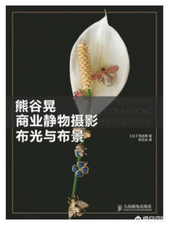 新手应该怎么学摄影？应该从哪里开始学？