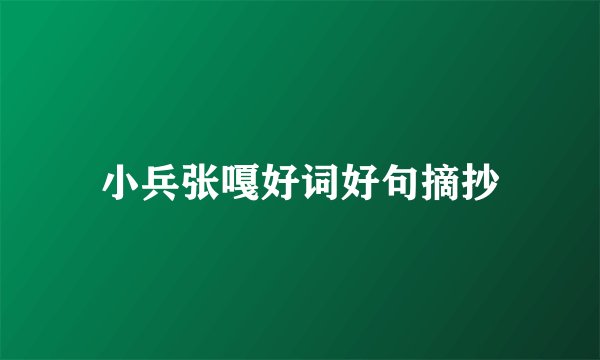 小兵张嘎好词好句摘抄