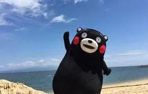 熊本熊因不是人类无缘担任东京奥运火炬手，你怎么看？