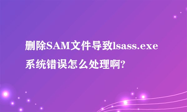 删除SAM文件导致lsass.exe系统错误怎么处理啊?