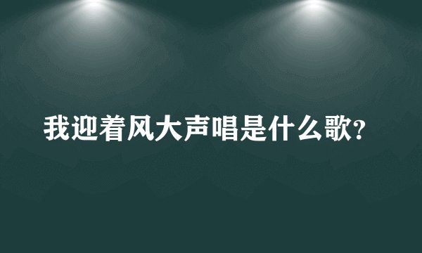我迎着风大声唱是什么歌？