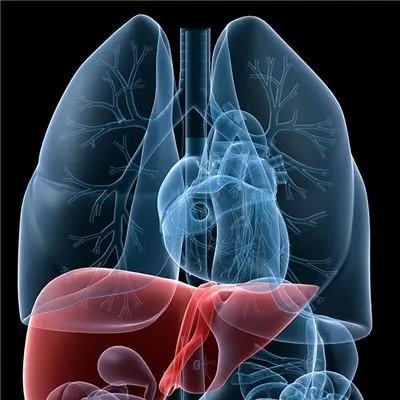 甲肝可以治好吗