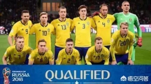 德国对阵瑞典，你预测的比分是多少？