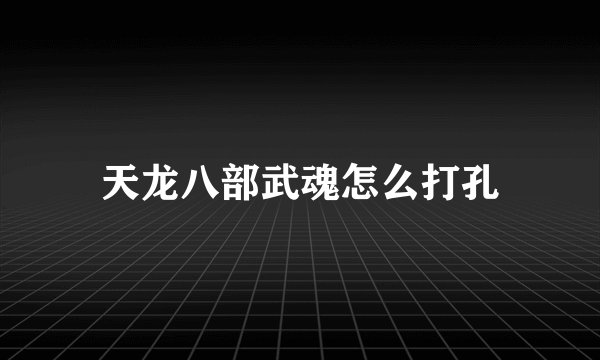 天龙八部武魂怎么打孔
