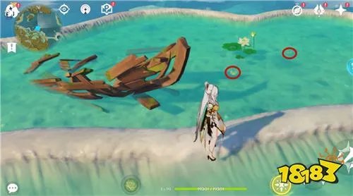 原神黄金蟹在哪里抓 黄金蟹分布位置一览