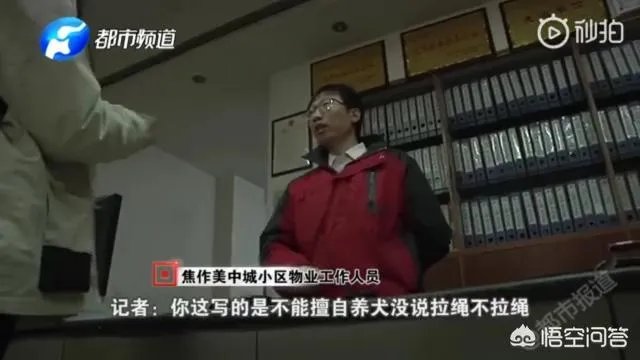 2岁娃等电梯时遭邻居3只狗迎面扑咬出血，事发8天后狗主人不露面不道歉，你怎么看？