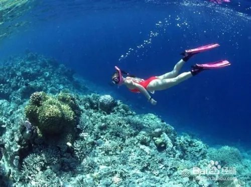 马尔代夫蜜月游攻略