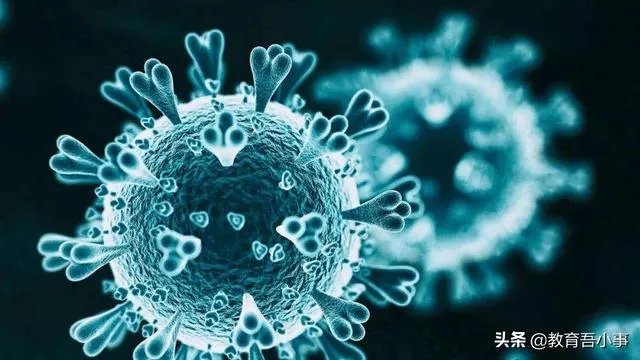 第二波疫情每个人又要感染吗