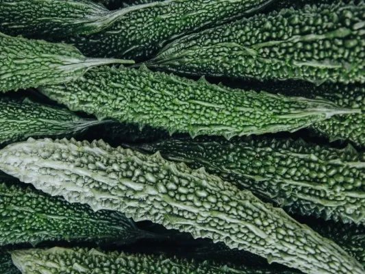 苦瓜清脂瘦身胶囊的适应症