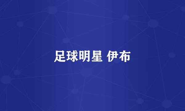 足球明星 伊布