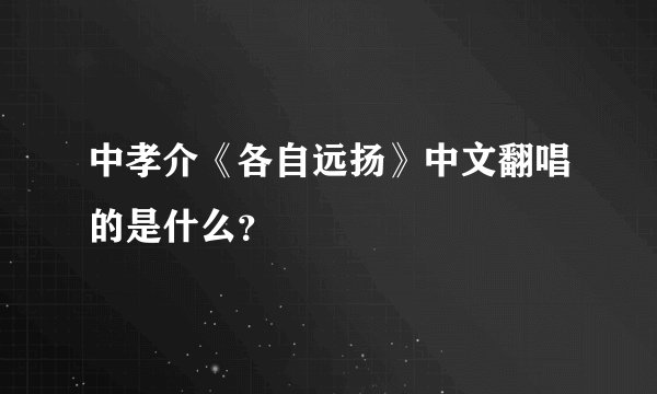 中孝介《各自远扬》中文翻唱的是什么？