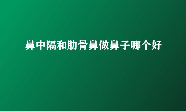 鼻中隔和肋骨鼻做鼻子哪个好