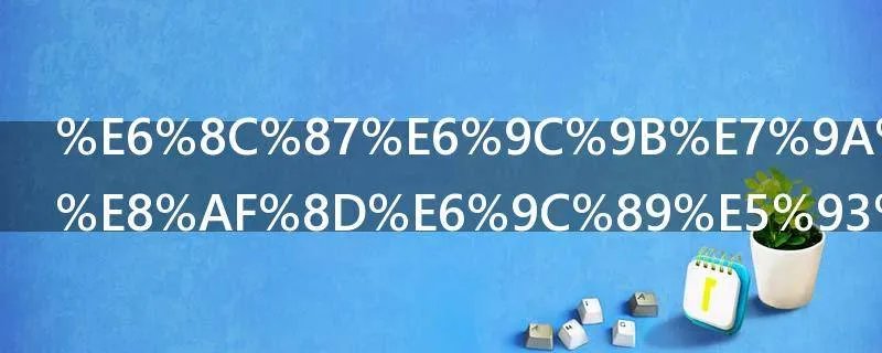 指望的近义词有哪些