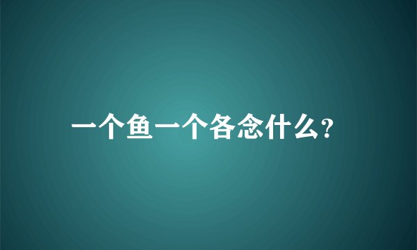 一个鱼一个各念什么？