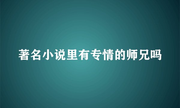 著名小说里有专情的师兄吗