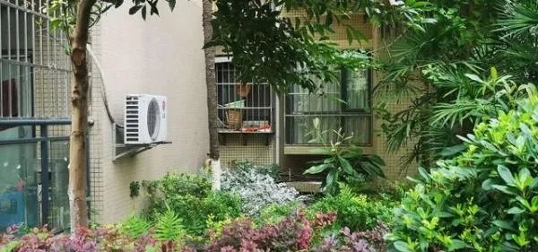 四川一小区绿化带发现男尸床上非常凌乱？死前经历了什么？