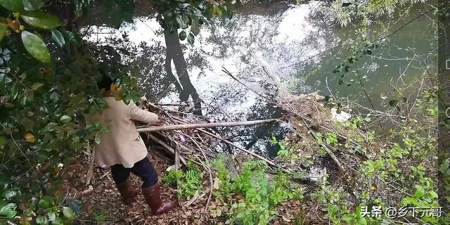 地笼捕鱼一般能捕多大的？要注意什么？