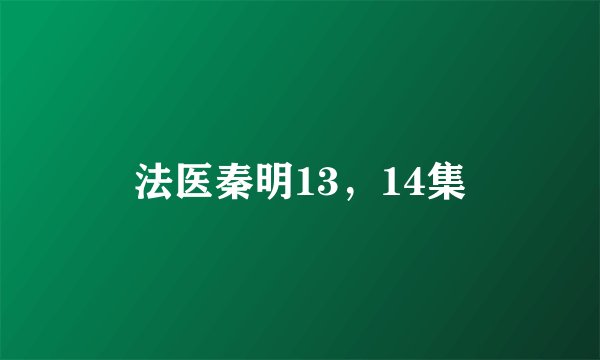 法医秦明13，14集