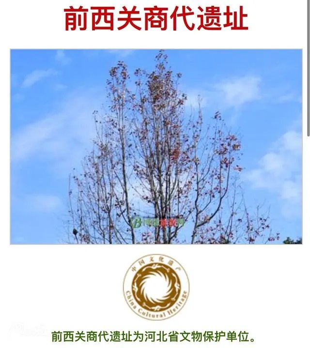 藁这个字怎么读?啥意思?能介绍下藁城吗?