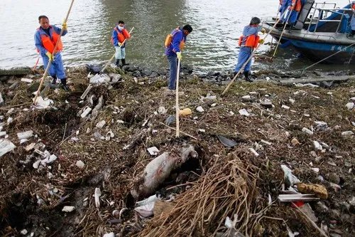 上海松江死猪事件的类似事件