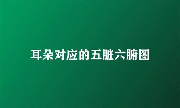 耳朵对应的五脏六腑图