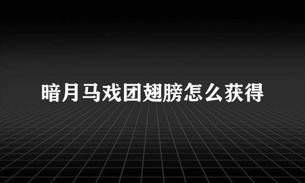 暗月马戏团翅膀怎么获得