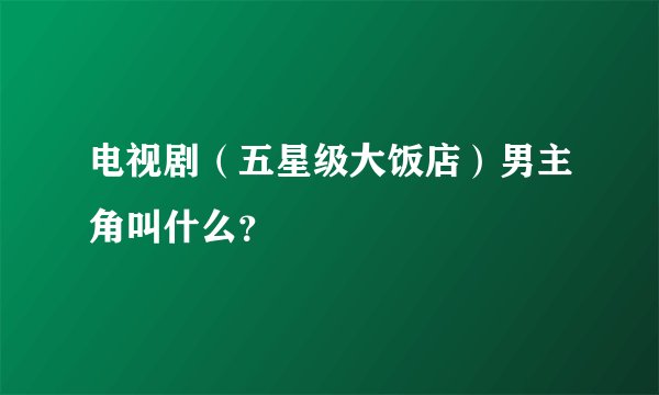 电视剧（五星级大饭店）男主角叫什么？