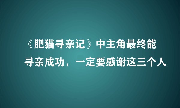 《肥猫寻亲记》中主角最终能寻亲成功，一定要感谢这三个人