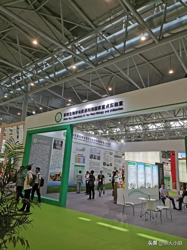 安徽10大名茶占了4个，为何没有安徽茶叶博览会？你怎么看？