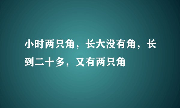 小时两只角,长大没有角,长到二十多,又有两只角
