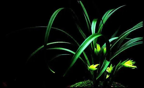 为什么有人总是在朋友圈炫富？