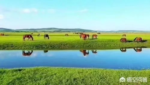 端午节想去草原旅游,这个时节草原好玩儿吗?